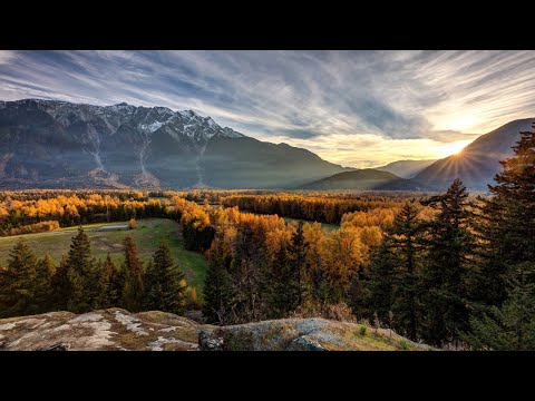 Spectorsonic & Alex Believe — Universe (Manuel Rocca Remix)