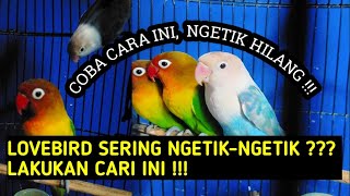 Download lagu Solusi Lovebird Ngetik-Ngetik‼️Simak Baik-Baik mp3 Download lagu Solusi Lovebird Ngetik-Ngetik‼️Simak Baik-Baik mp3