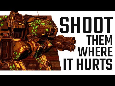Shoot them where it hurts! Linebacker Build - Mechwarrior Online The Daily Dose #409