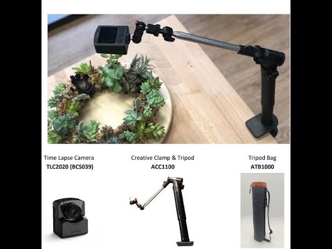 Brinno BARD BAC2000 Timelapse Creative Camera Kit Brinno BARD BAC2000 Timelapse Creative Camera Kit