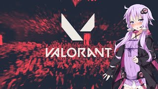 【Valorant】テスト配信　＆　練習【生放送】
