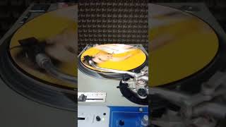 Cliff Richard - Ease Along (Remixes) Not On Label 2011 UK.#cliffrichard #vinylpicturedisc #disco