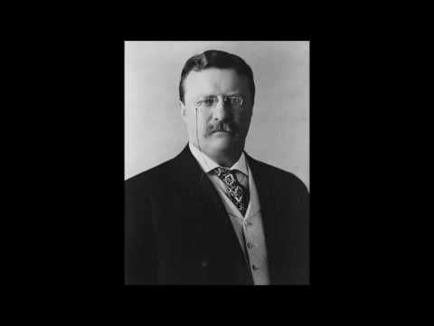 Theodore Roosevelt Speech - Progressive Covenant with the People