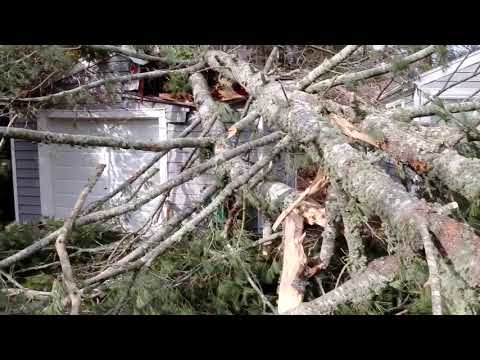 01-16-2020 Marion, MA - Large Tree Crashes Onto Garage & Home - High Winds Advisory