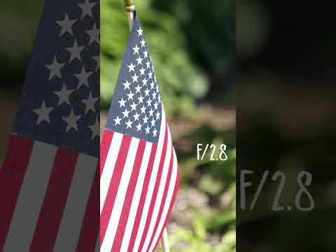 Aperture Depth of Field Examples! Beginner Photography