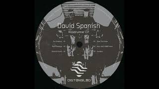 David Spanish - The Dripface (Distangled)