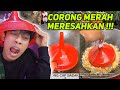 CORONG MERAH DEBM BIKIN NAIK PITAM ️OZIIE SAMPE BELI CORONG MERAH