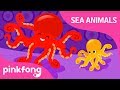 Ooh La La Octopus Sea Animals Song Learn Animals Pinkfong Songs For Children