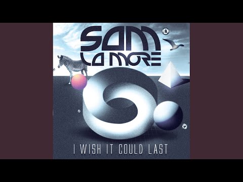 I Wish It Could Last