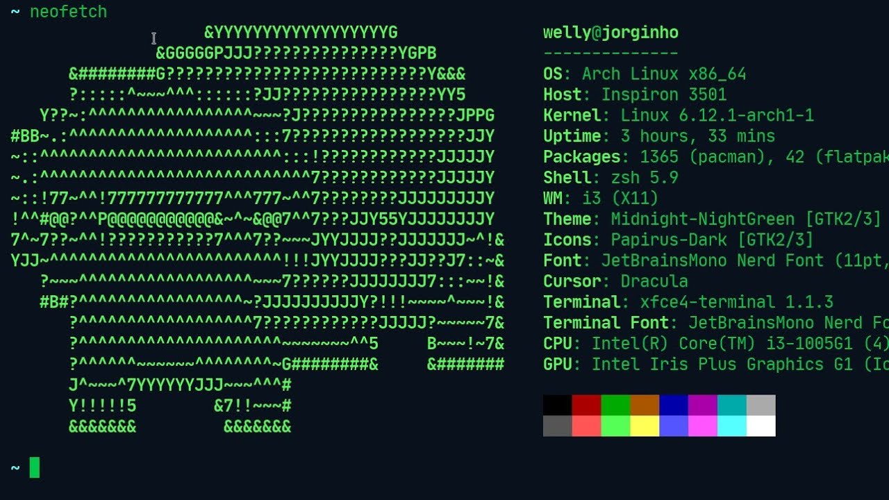 PROJETO TORTOISE LINUX (primeira apresentação formal) #1