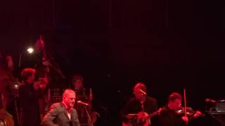 Steve Harley - Hideaway - Royal Albert Hall - 28th June 2014