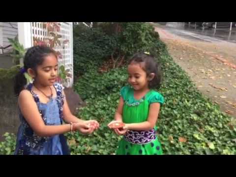 Yashvi Anvi Wishing Happy Diwali 2016