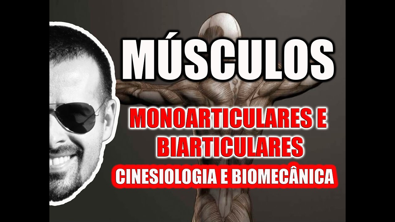 Músculos Monoarticulares e Biarticulares - Sistema Muscular - Cinesiologia - VideoAula 094