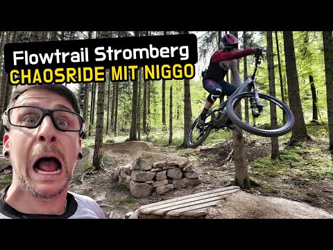 FLOWTRAIL STROMBERG hats einfach drauf 🚲 Chaosride mit Niggo 🤪😜 FOCUS JAM²  SL 8.8 2024