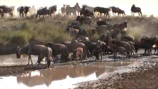 Karatu and Serengeti day 1