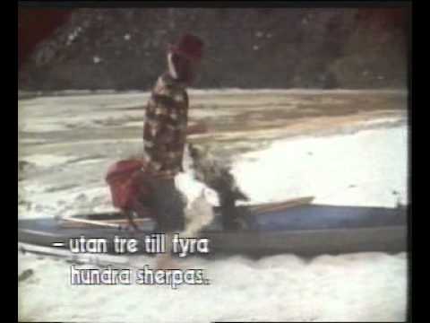 Papick, L'Enfant Du Mont Blanc (1981)