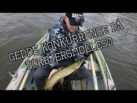 1. Maj Gedde Konkurrence På Borbjerg Møllesø # 3. Plads