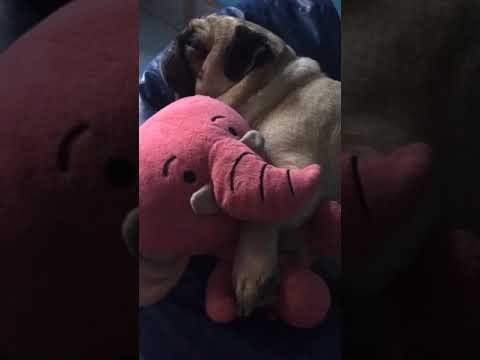 Awww Alex’s  favourite 🧸 tituuuu ❤️❤️❤️