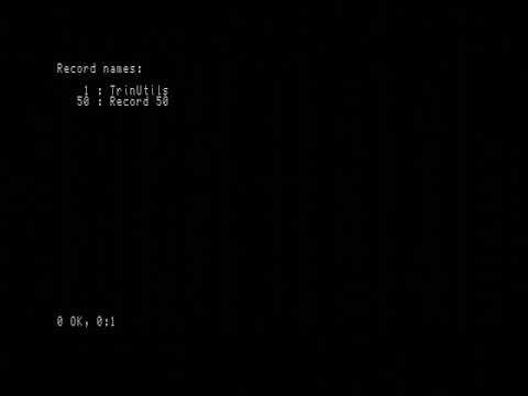 Formatting records on SAM Coupe Trinity Interface