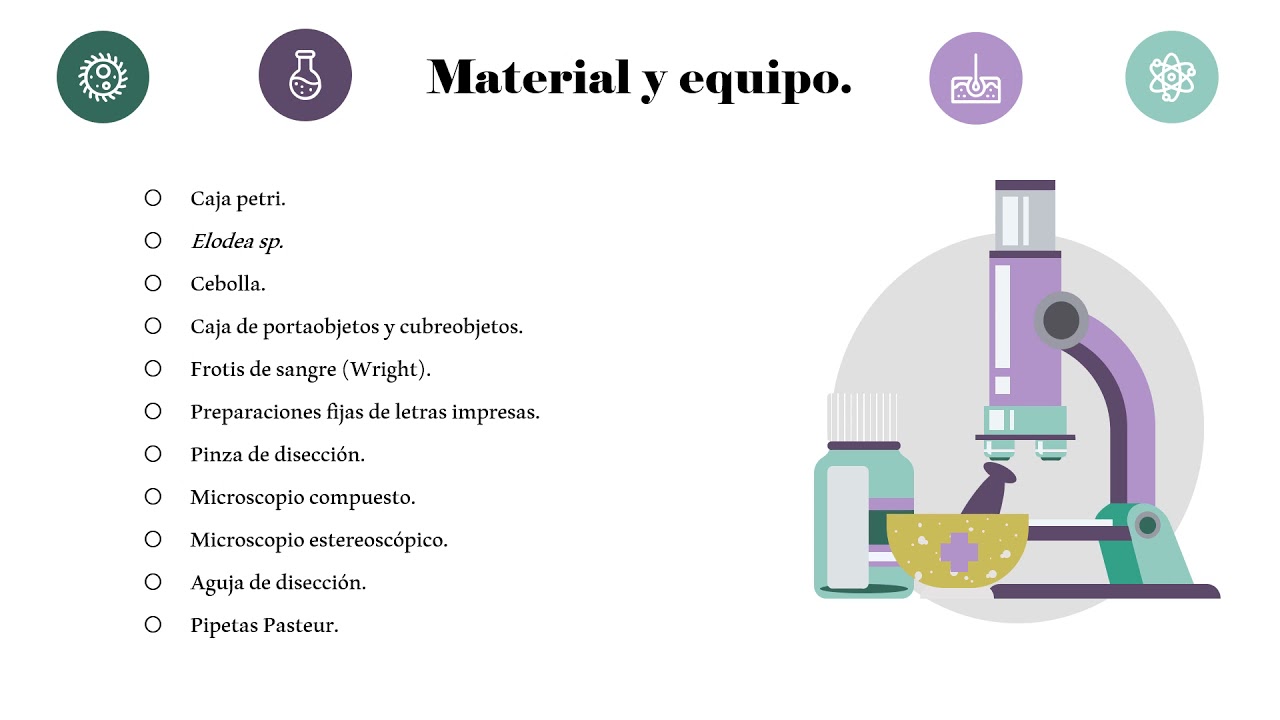 Práctica  2. Microscopía. Seminario introductorio