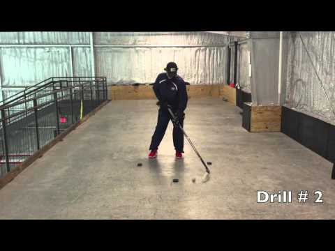 11/29/15 - 12/13/15 Pond HC Mallards Stickhandling Drills
