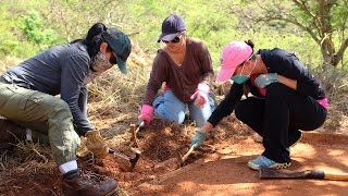 Internment camp's hidden history uncovered by West Oahu students