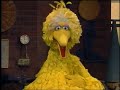 Classic Sesame Street Big Bird Tears Of Joy Season 16