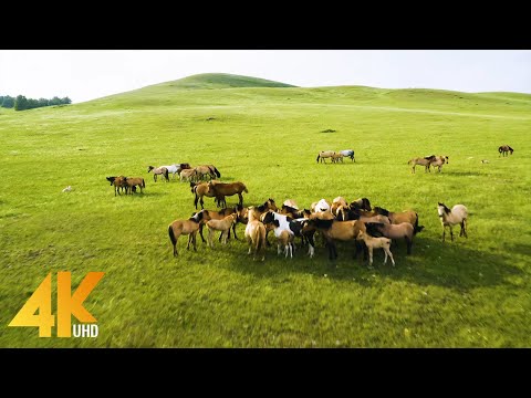 4K Scenic Nature Film - Beautiful Nature of South Ural from Above and from Earth