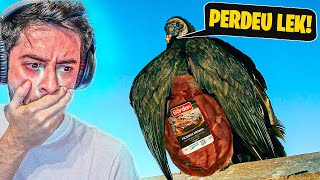 um URUBU assaltou o Patriota ...