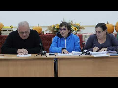 Ședințele Consiliului local