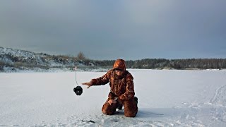 Бешеный клев щуки на жерлицы