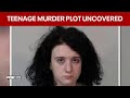 Hit-and-run arrest uncovers teenage murder plot