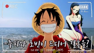 [원피스]루피와 로빈이 드디어 결혼을? 루피와 로빈의 슬프고도 아련한 달달한 사랑이야기!