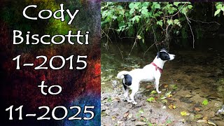 A Tribute to Our Cody Biscotti