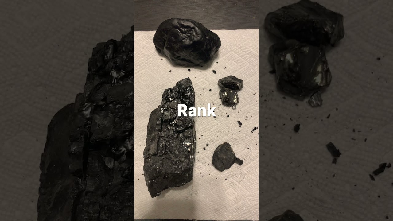 Ranks of Coal
