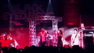 ELEPHUNK - The Black Eyed Peas Tribute - Showreel 2014