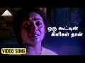 ஒரு கூட்டின் கிளிகள் தான் Video Song Anbu Kattalai Movie