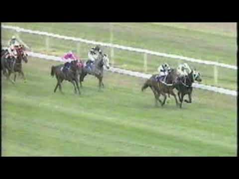 1993 Mudgway Stakes