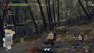 [モンハンライズ]　スイッチぶりにガチる