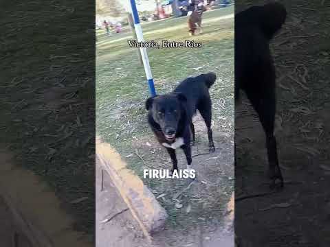 LUNES DE PASEO | VICTORIA ER #trending #paseo #victoria #entrerios #argentina #turismo #shortvideo