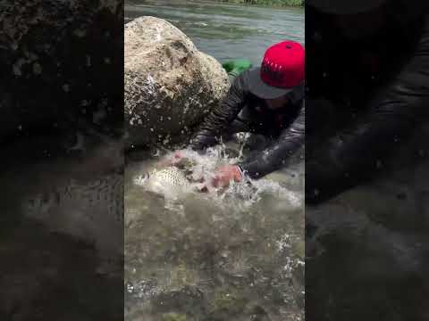 Reel tagged #fish
