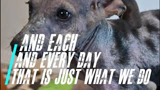 #Give Hope To The Animals