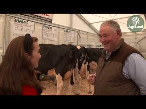 IHFA member Tony Jackson talks about the future of Holsteins in Ireland