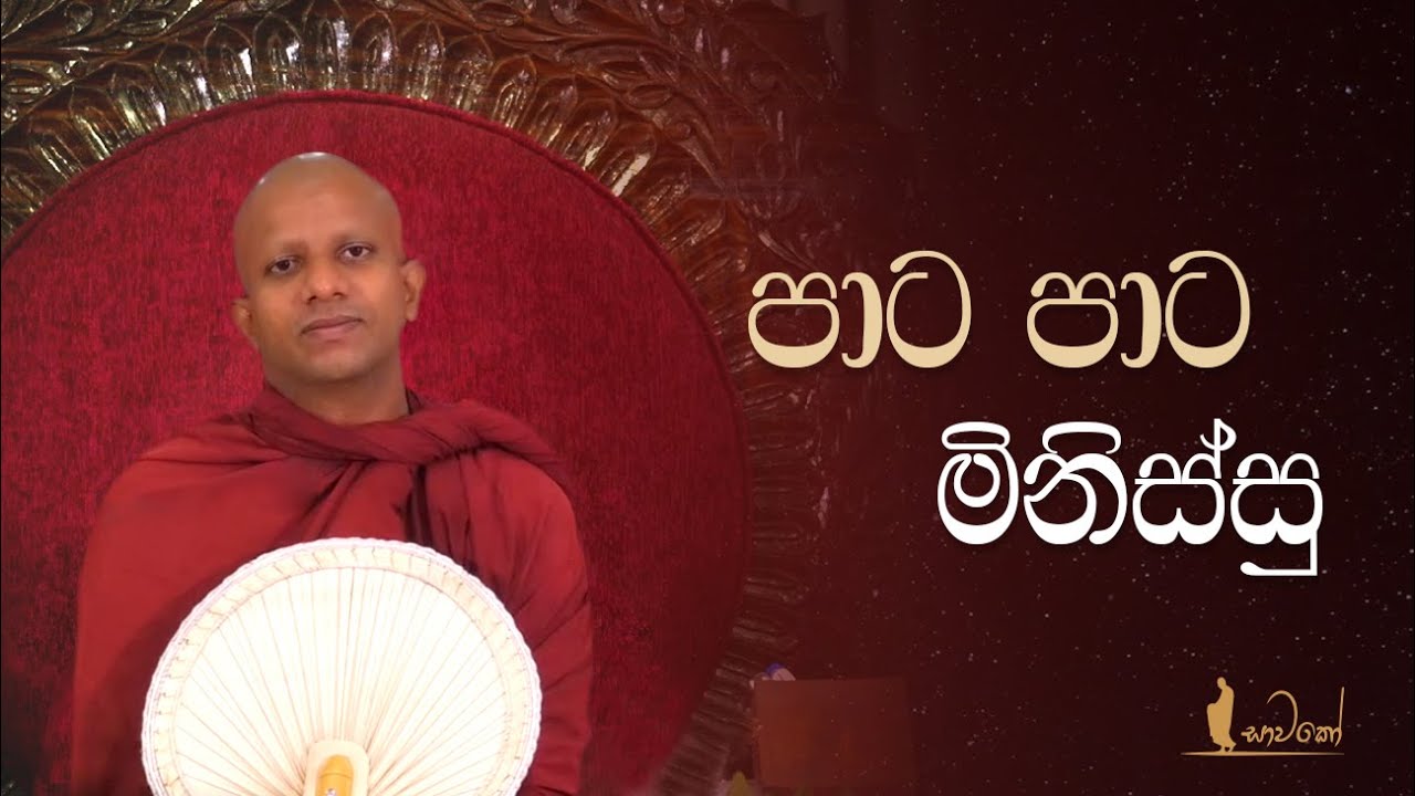 පාට පාට මිනිස්සු