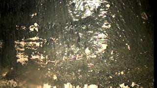 Lantern Sewer Line Inspection for Michell & Justin Morey