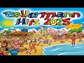 Julian Sommer Dicht Im Flieger Ballermann Hits 2025