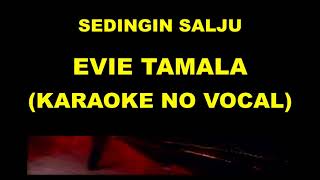 Download lagu SEDINGIN SALJU - EVIE TAMALA (KARAOKE NO VOCAL) mp3