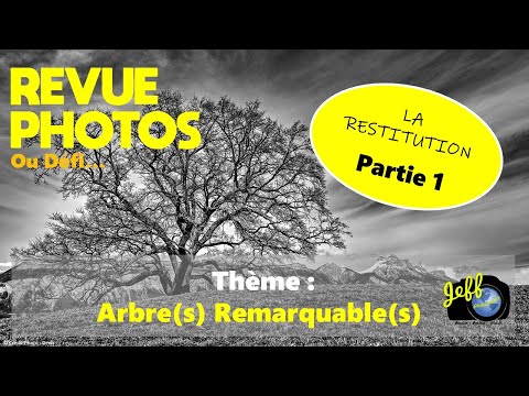 REVUE DE VOS PHOTOS : THEME "ARBRES REMARQUABLES" (Partie 1) - Restitution - Episode n°599