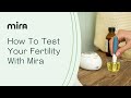 How To Test With Mira