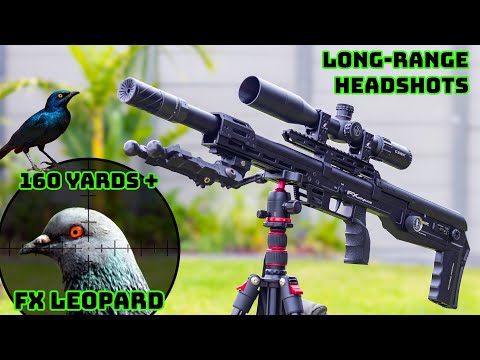 Brutal Long-Range Headshots | FX LEOPARD | Testing the Limits | Pest Control #fxairguns #fxleopard